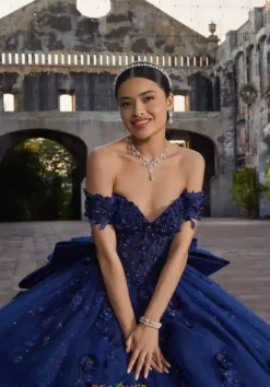 Vizcaya Quinceanera 89546