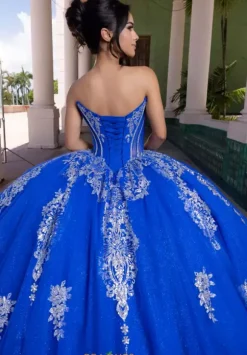 Vizcaya Quinceanera 4080021