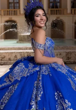 Vizcaya Quinceanera 4080021