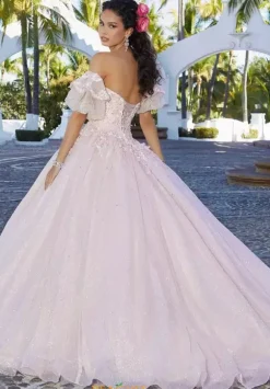 Vizcaya Quinceanera 60164