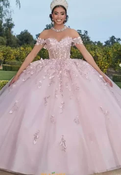 Vizcaya Quinceanera 60181