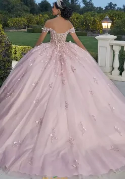 Vizcaya Quinceanera 60181