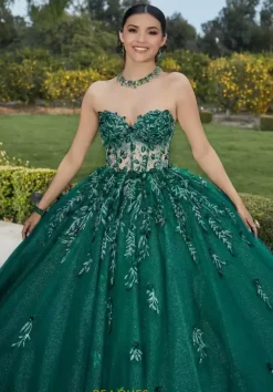 Vizcaya Quinceanera 60181