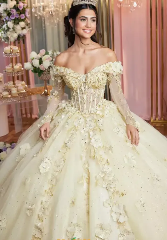 Vizcaya Quinceanera 89505