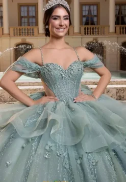 Vizcaya Quinceanera 4080010