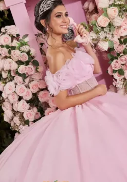 Vizcaya Quinceanera 89524