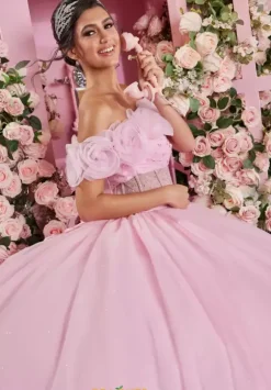 Vizcaya Quinceanera 89524