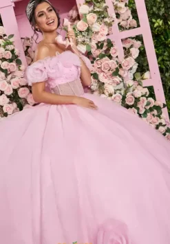 Vizcaya Quinceanera 89524