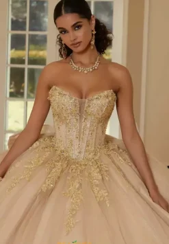 Vizcaya Quinceanera 34112