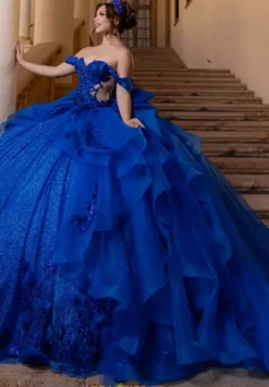 Vizcaya Quinceanera 4080000