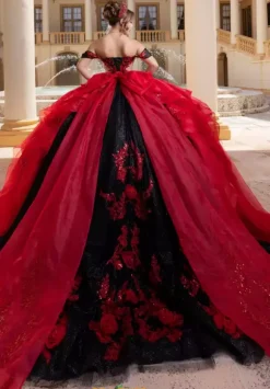 Vizcaya Quinceanera 4080000