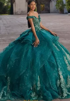 Vizcaya Quinceanera 89556