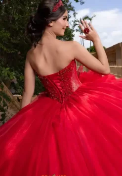Vizcaya Quinceanera 4080012