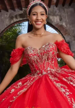 Vizcaya Quinceanera 89534