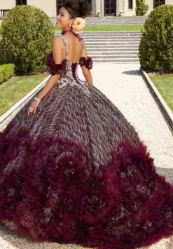 Vizcaya Quinceanera 34041