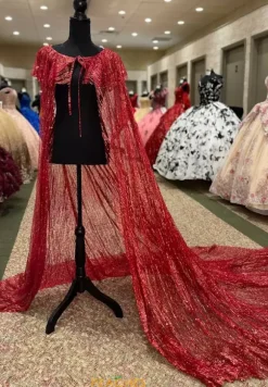 Vizcaya Quinceanera 89326