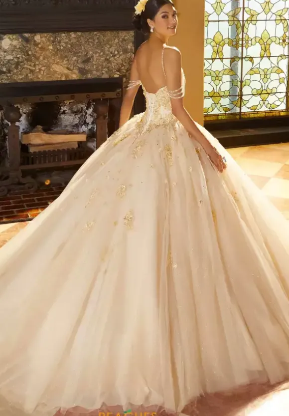 Vizcaya Quinceanera 60155
