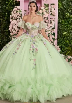 Vizcaya Quinceanera 89510