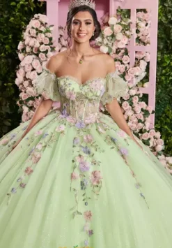 Vizcaya Quinceanera 89510