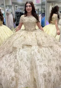 Vizcaya Quinceanera 34055