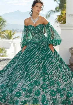 Vizcaya Quinceanera 34073