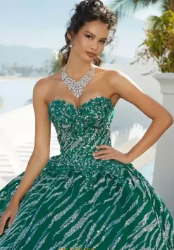 Vizcaya Quinceanera 34073