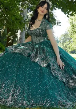 Vizcaya Quinceanera 89452