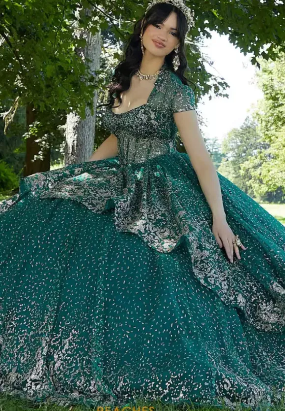 Vizcaya Quinceanera 89452