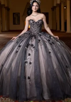 Vizcaya Quinceanera 4080022