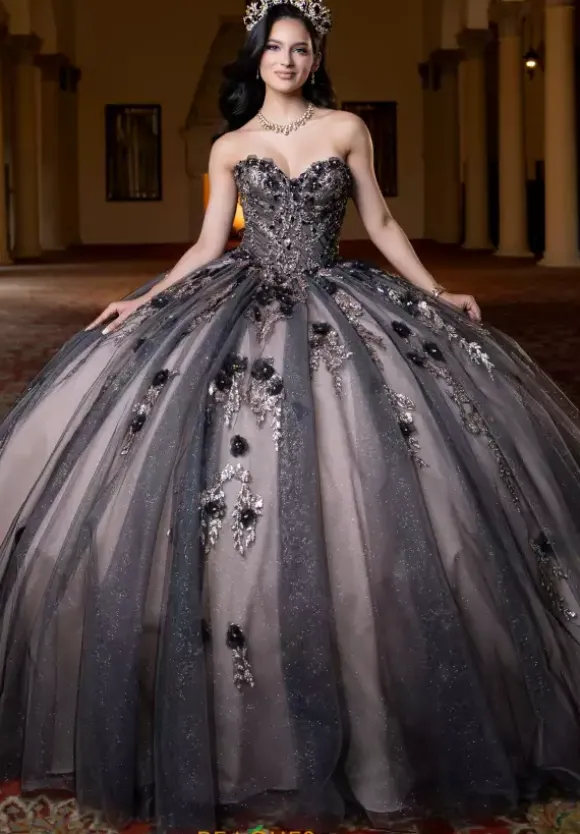 Vizcaya Quinceanera 4080022