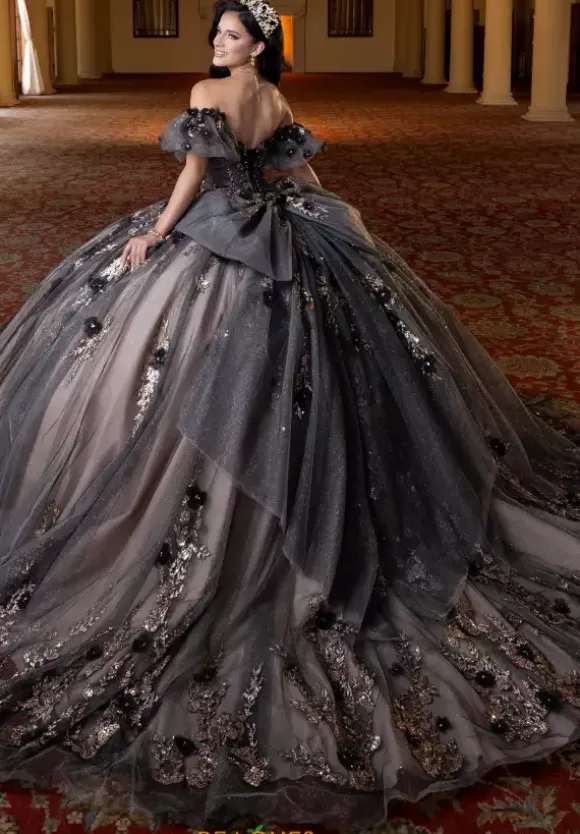 Vizcaya Quinceanera 4080022