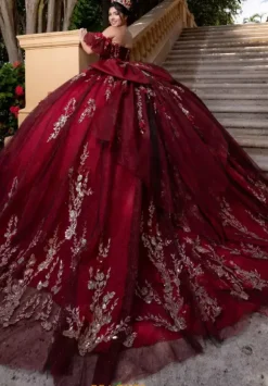 Vizcaya Quinceanera 4080022