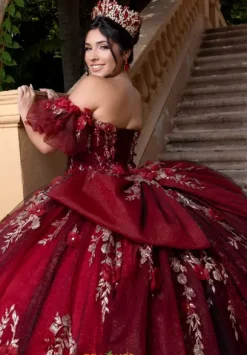 Vizcaya Quinceanera 4080022
