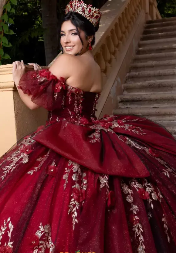 Vizcaya Quinceanera 4080022