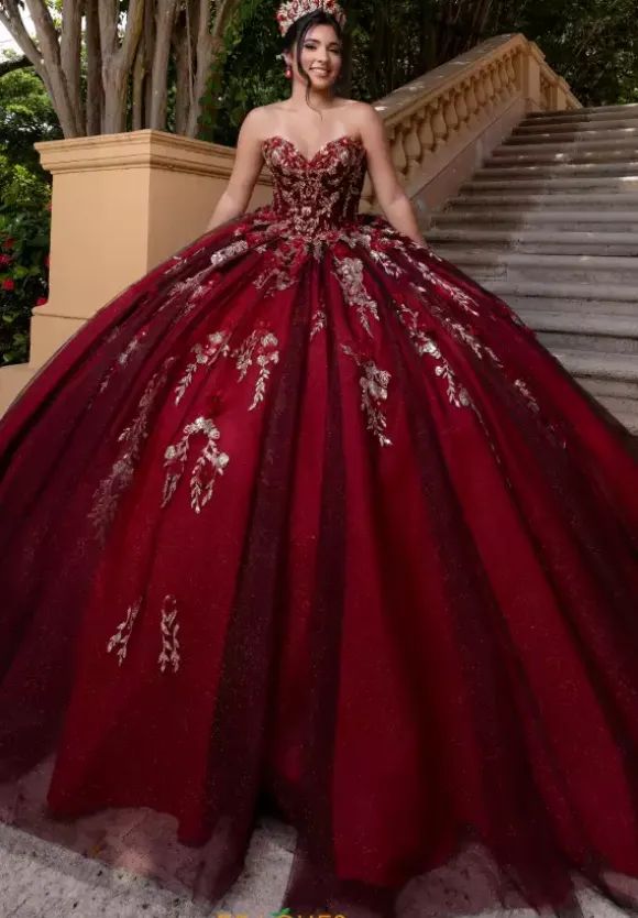 Vizcaya Quinceanera 4080022