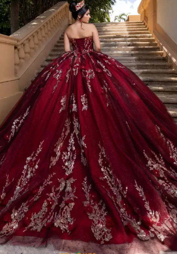 Vizcaya Quinceanera 4080022