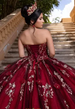 Vizcaya Quinceanera 4080022
