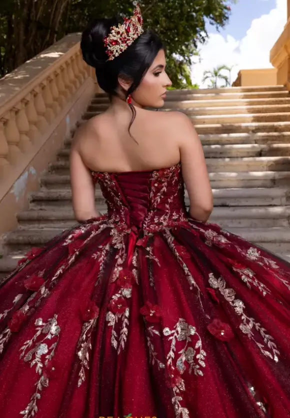 Vizcaya Quinceanera 4080022