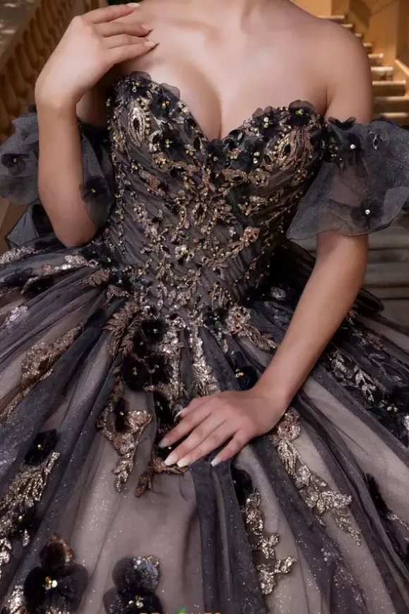 Vizcaya Quinceanera 4080022