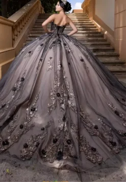 Vizcaya Quinceanera 4080022