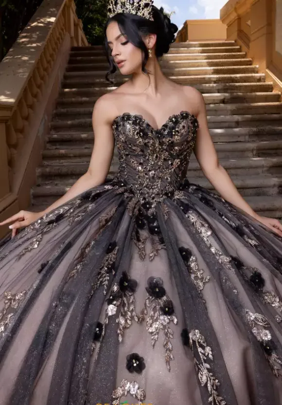 Vizcaya Quinceanera 4080022