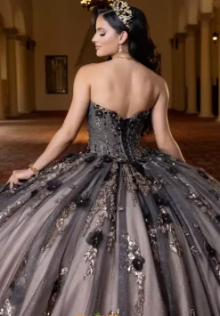 Vizcaya Quinceanera 4080022