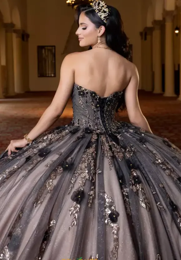 Vizcaya Quinceanera 4080022