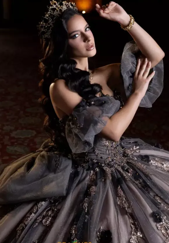 Vizcaya Quinceanera 4080022