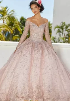 Vizcaya Quinceanera 89355