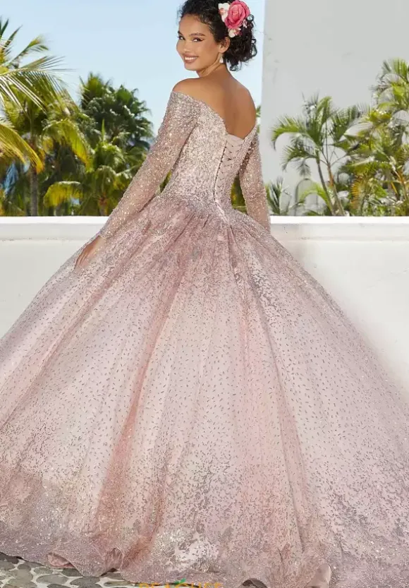 Vizcaya Quinceanera 89355