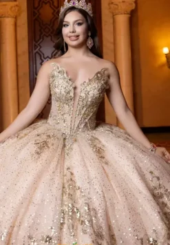 Vizcaya Quinceanera 4080028