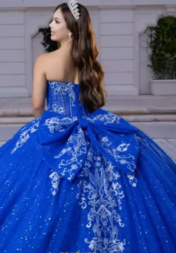 Vizcaya Quinceanera 4080028