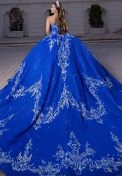 Vizcaya Quinceanera 4080028