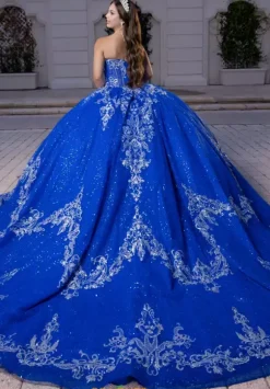 Vizcaya Quinceanera 4080028